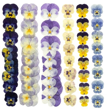 Natural Dried Pressed Mix Viola Tricolor Flowers, 48 Pieces, 6 Varieties, for Cake Decorating, Crafts and Jewelry Making