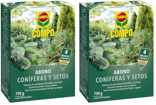 COMPO Antiamarronamiento de coníferas de larga duración, Para todo tipo de coníferas y plantas de hoja perenne, 6 meses de duración, 750 g (Paquete de 2)