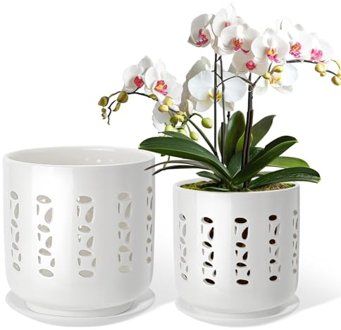 BUYMAX Ceramic Orchid Pots with Holes, 5 Inch+6 Inch Orchid Planter with Drainage Holes and Tray, Indoor Flower Pot for Repotting Orchids, Elegant White Glaze