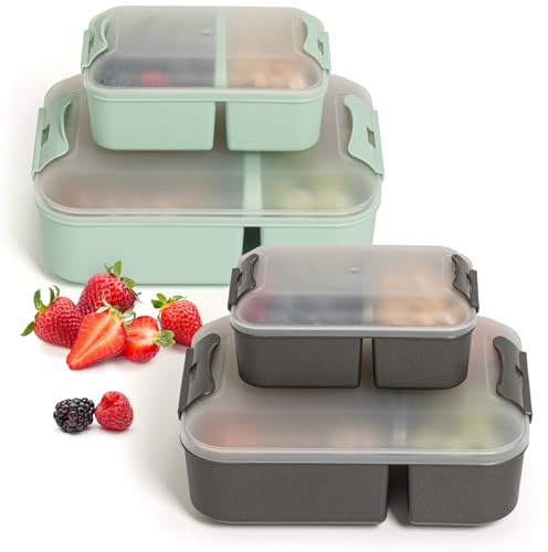 Hausfelder Brotdose Kinder mit Fächern 4er Set (2x Groß 2x Klein) Lunchbox mit 2 Fächern BPA-frei, Brotdosen für Schule Büro, Brotbox Erwachsene, SpaceBlack MintGreen
