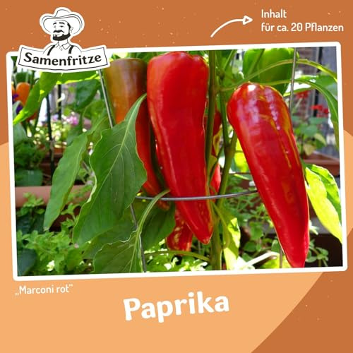 Paprika Marconi rot Samen