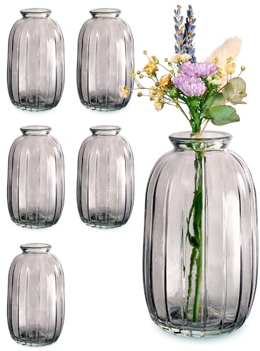 Praknu 6 Mini Glasvasen 11,8 cm Hoch - Traumhafte Deko für Hochzeit - Spülmaschinenfest - Vintage Blumenvasen - Grau