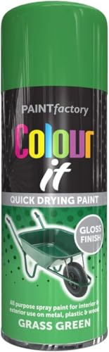 FAMBIZ Grass Green Gloss Spray Paint, Quick Drying Formula, Easy To Apply, DIY Enthusiasts, Long-Lasting, Perfect For Wood, Furniture, Metal, Plastic, Indoor and Outdoor Use, 250ml, (1 Pcs)