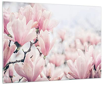 ARTTOR Glasbild 100x70cm Wandbild Glasdruck Botanik Blumen - 4396 | Magnolie Rosa Groß Modern Dekoration Wohnzimmer Schlafzimmer Küche Wanddeko Kunstdruck Art Wall Decor ARTTOR