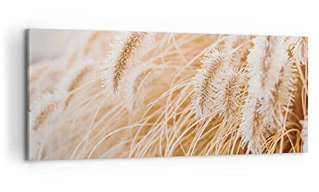Panorama Bilder auf Leinwand 100x40cm Leinwandbild mit Rahmen Gras Boho Licht Groß Wanddeko Bild Schlafzimmer Küche Wandbilder Dekoration Wohnzimmer Wall Decor Canvas Wand Kunstdruck Art AB100x40-4903