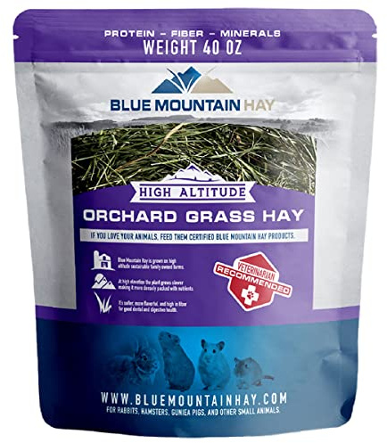 Blue Mountain Hay High Altitude Orchard Grass Hay Pet Food (40 oz) - Fresh, Soft & Leafy, High Fiber Nutrition - Sweet Aroma, Additive-Free, Supports Digestion, Dental Health & Natural Foraging
