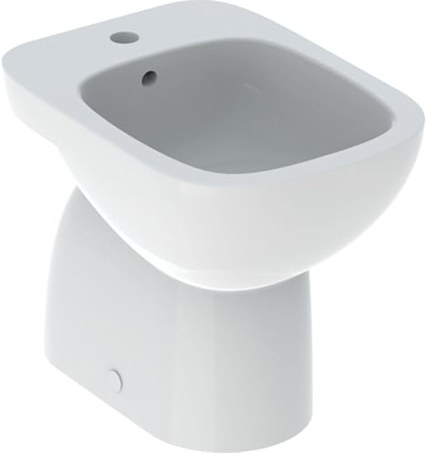 Geberit Fantasia Floor Bidet Fixation Semi-Hidden White