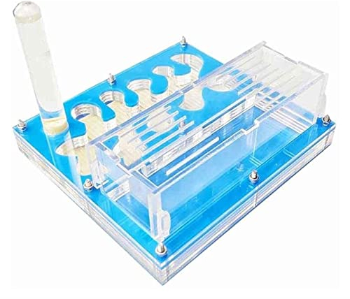 BGFYUSF Insektenvilla Acryl-Ameisenfarm DIY-Nest, Ameisennest Acryl-Ameisenfarm mit Ameisen und Futter Reptilien-Terrarium Familienhaustierzucht Insektenbedarf Festival-Geburtstagsgeschenk (Blau)