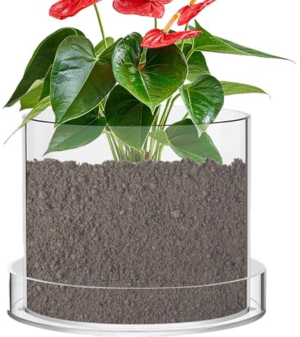 Zyntora Macetas Transparentes,Tiestos De Vivero Claros | con Drenaje Reutilizables Acrílicos para Plántulas Jardín Interior Plantación Flores