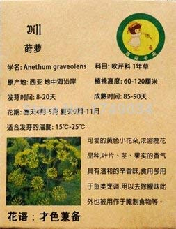 Keimungsrate 99% Dillsamen, aromatische Pflanzensamen Fenchel, leicht von Saatgut - 50 Partikel