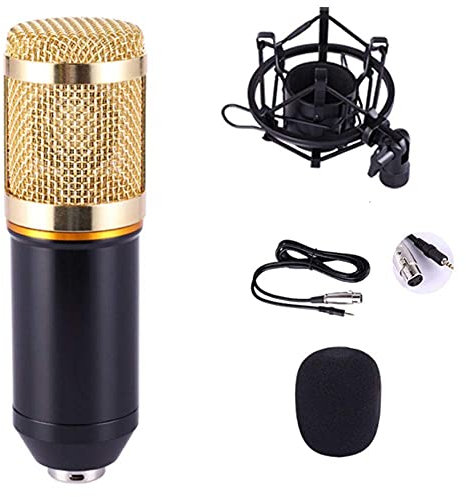 Kit de Micro à condensateur Home Studio, Ensemble de Microphones de Carte Son en Direct Microphone à condensateur Ancre Ordinateur Microphone à condensateur Microphone à condensateur, Microphones à