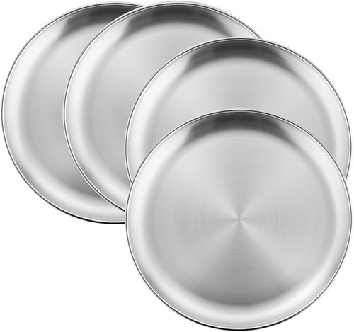 Tonsitian 4Pcs Edelstahl-Speiseteller, 20cm Runde Leichte Edelstahl Teller Set für Grillen, Picknicks, Partys, Camping, Spülmaschinenfest und Gesund