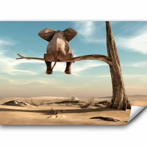 Fotomurales B&D XXL - 350x256 cm Papel pintado tejido no tejido Decoración de Pared decorativos Murales moderna Diseno Fotográfico Elefante Arbol Desierto Animal Abstraccion Naturaleza g-B-0033-a-a
