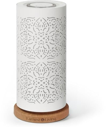 Earnest Living Wasserloser Diffusor für ätherisches Öl, 100 ml, Vernebelungsdiffusionssystem, Aromatherapie-Diffusor, Metall, kühler Nebel, Luftbefeuchter, Kaltluft-Duftmaschine für das Wohnzimmer