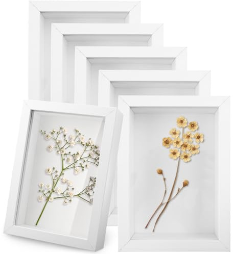 6 Pack 4 x 6 Inches Shadow Box Frame, Small Wood Frame Memory Display Cases,1.2in Depth Picture Case for Dried Flowers, DIY Craft, Memorabilia, Medals and Photos