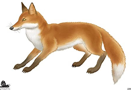 10x Stronghold Tierauflage - Grafik Fuchs - 42 x 59 cm - wasserabweisend/reißfest, Zielscheibe, Scheibenauflage für Pfeil und Bogen