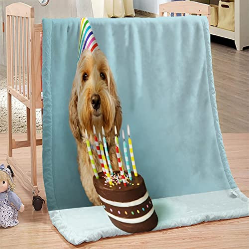 3D Kuscheldecke 200x200 Geburtstagskuchen Warme Decke Hund Flanell Fleecedecke Süße Tiere Flauschig Weich Wohndecke für Sofadecke Couchdecke Sofaüberwurf Bettüberwurf