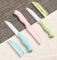 Fllyvly Ensemble de 6 Couteaux de Cuisine en Céramique - Lames de 80 mm, ceramic paring knife,Poignée Couvercles de Protection Inclus, pour Couper Fruits et Légumes, Durable et Hygiénique