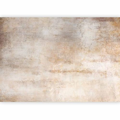 murando - Papier peint panoramique artistique 350x256 cm - Revêtement mural décoration pour chambre salon cuisine - Design unique et moderne - Marron gris beige - f-A-10084-a-a