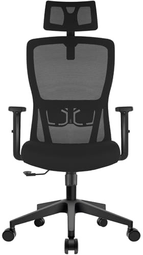 Durrafy Office Chair, Desk Chair with Adjustable Headrest, Lumbar support and Liftable Armrest, High Back Ergonomic Office Chair, Breathable Mesh Backrest for Comfy, Computer Chair for Home/Office