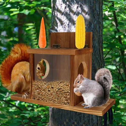 Futterhaus Eichhörnchen Wetterfest aus Holz, Eichhörnchen Futterhaus mit Dach, 2 Eingänge, Verlängerter Boden, Transparentes Fensterdesign Futterstation Draußen zur Montage an Bäumen Zäunen