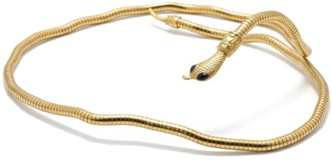 Wailike Schlangen-Armband Schlangenknochen Kette, Biegbare Schlangenkette, Mehrzweck Schlangenkette, 6x900mm Flexibles Verstellbares Schlangenhalsband GD