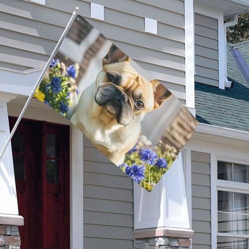 Bandiera da 0,9 x 1,5 m, a doppia faccia, decorazione per esterni, bulldog francese, bandiera carina 200D, pesanti bandiere da giardino in ottone, occhielli in ottone, intestazione in tela per esterni