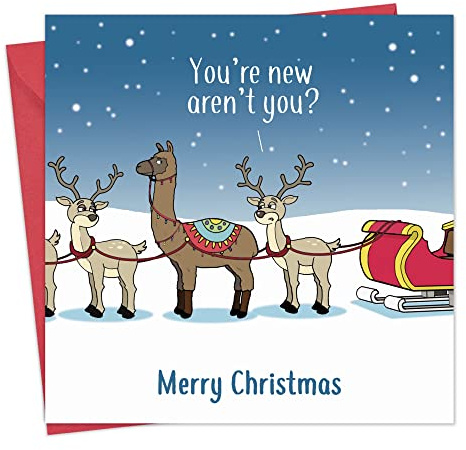 Twizler Frohe Weihnachtskarte mit Lama-Verwirrung - Lustige Weihnachtskarte - Weihnachtskarte - Happy Christmas Karte - Damen Weihnachtskarte - Herren Weihnachtskarte