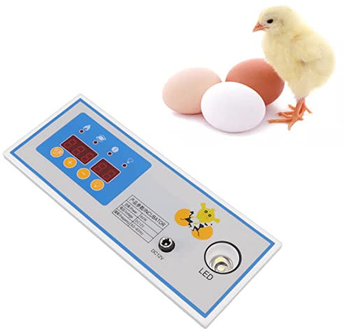 Topyond 60 W 12 V Inkubator-Thermostat, Automatischer Temperaturregler Für Mini-Inkubatoren, Ideal Zum Ausbrüten von Eiern, Präzise Temperaturregelung, Zubehör Im Lieferumfang Enthalten