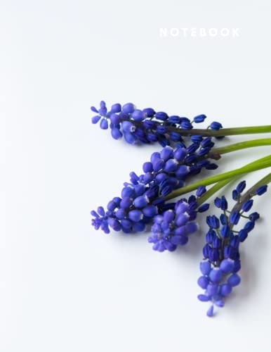 Grape Hyacinth Notebook: Lined notebook 200 pages 8,5x11 inches Journal notebook