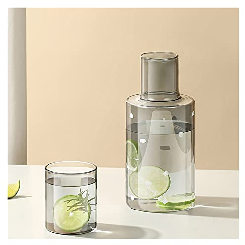 EVSER Iced Tea Jug 33.8 Oz Haut Borosilicate Glass Pichet avec Tasse d'eau Haute température résistant à l'eau Froide pichets Jus Jug Théière Théière Jug Juice Pitcher