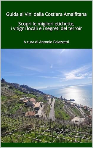 Guida ai Vini della Costiera Amalfitana: Scopri le migliori etichette, i vitigni locali e i segreti del terroir