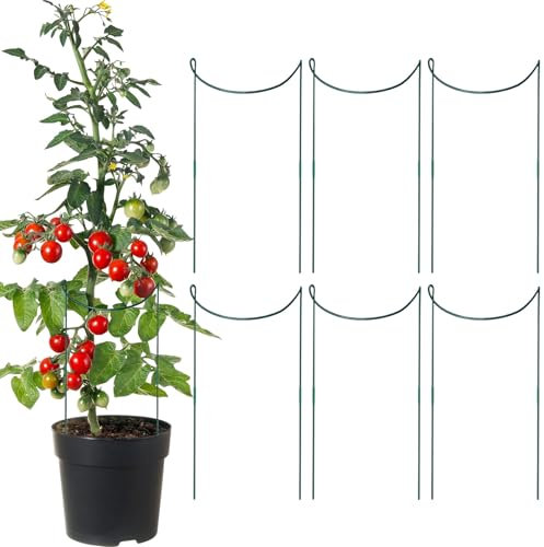 6 Stück Pflanzenstützen Halbrund Pflanzenstütze Ringkäfige, Pflanzenringe Rund,Pflanzenhalter Metall,Staudenhalter Für Topfpflanzen, Tomaten, Gemüse, Rose, Pfingstrose
