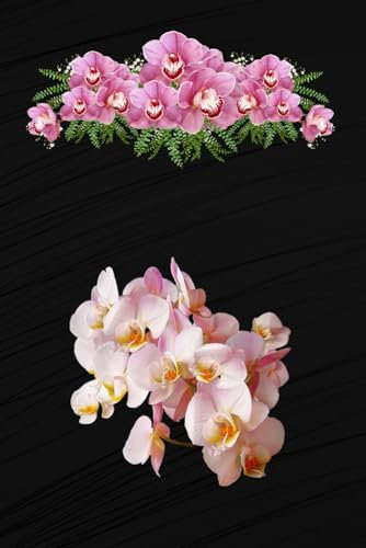 Orchideen Notizbuch Orchideenfreunde Tagebuch Orchideenzüchter Zeichenbuch Orchideengewächse Skizzenbuch Orchidee Fotoalbum Orchideenpflege ... Orchideenforum Bullet Journal Schwarz 02