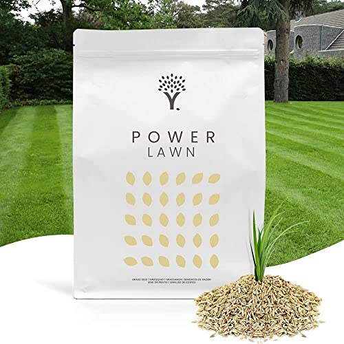 MOOWY Power Lawn Rasensamen Schnellkeimend 250m² - Merhjährige und Strapazierfähige Sport und Spiel Rasensaat mit Biostimulanz-Beschichtung für 38% mehr Keimung - Ideal als Rasenreparatur Grassamen