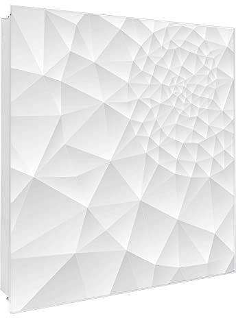 banjado Großer Schlüsselkasten Glas - Schlüsselbox 30x30cm mit 50 Haken - Schlüsselkasten modern für Schlüsselaufbewahrung mit beschreibbarer, magnetischer Glastür - Motiv Nautilus