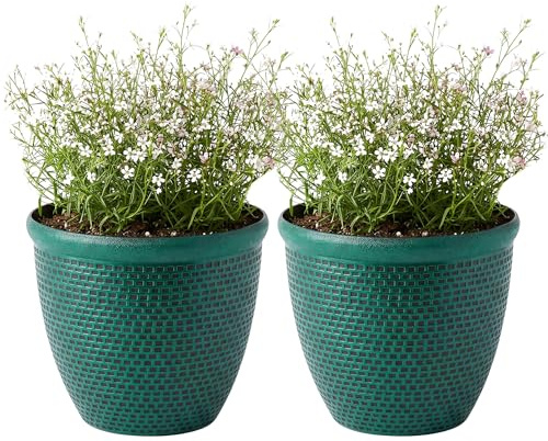 SG Traders 2 x Large Plastic Round Cromarty Plant Pot Flower Pot Planter Garden Decoration 30cm Plant Pot Outdoor Flower Pots Outside Garden Planters Outdoor With Drainage Holes