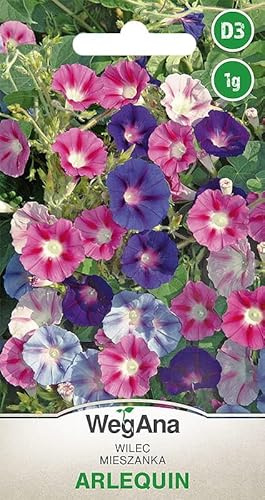 WegAna Morning Glory Prunkwinde Arlequin Samen 1g, Convolvulaceae, Einjährige Gartenpflanzen 300 cm, Balkonpflanzen, Bienenweide, Blumen Saatgut
