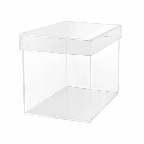 TUKA-i-AKUT 20x20x20cm Acrylbox 5-Seitig mit Deckel, Würfelform Acryl Schaukasten Transparente Geschenkbox, Präsentationsbox Vitrine für Museum Sammler Schmuck Kosmetik Deko Aufbewahrung, TKD8254