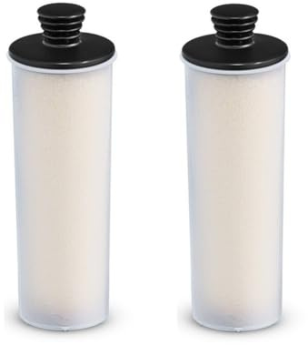 Homeponnew Varilla de filtro de limpieza y descalcificación para limpiador a vapor KARCHER SC3 y SC2, compatible con SC2 Premium, SC3 estándar, SC3 vertical y otros modelos, plástico blanco, 16 x 5 x