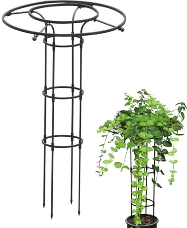 Celosía Obelisco Jardín para Escaladores Alto Soporte Tutor Metal Antióxido Interior Verduras Frutas Vid
