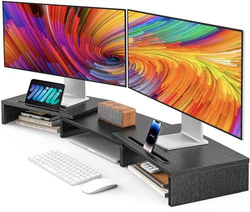 AMERIERGO Dual Monitor Stand Riser for 2 Monitors, Monitor Stand for Desk, Adjustable Computer Monitor Stand with 2 Slot, Multifunctional Desktop Organizer Stand for Laptop, PC, Computer, Printer