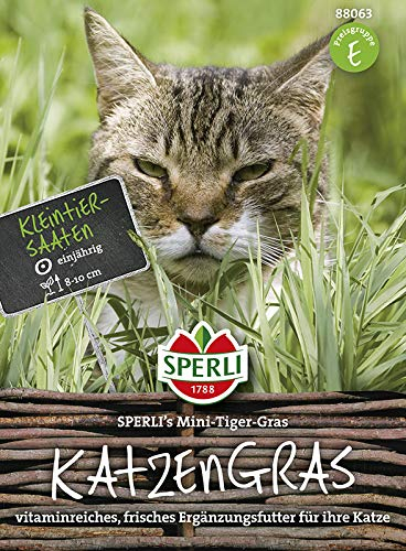 Sperli 88063 Katzengras Mini-Tiger-Gras (Kleintiersaaten)