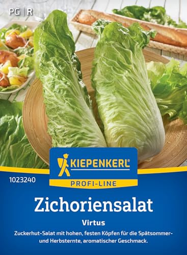 Kiepenkerl Zichoriensalatsamen Virtus 1023240, Gemüsesaat | Aromatischer Zuckerhut-Salat, Salatsamen für frische Zubereitungen, Gemüsesamen für 30 Pflanzen