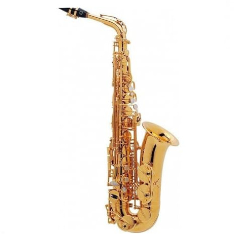 Altsaxophon für Erwachsene professionelles Anfänger-Spielinstrument Saxophon für Anfänger
