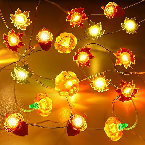 Herefun Lichterkette Herbst, 3M 30LED Ahornblätter Lichterketten, Kürbis-Ahornblatt-Eichel Lichterkette Batteriebetrieben mit Timer