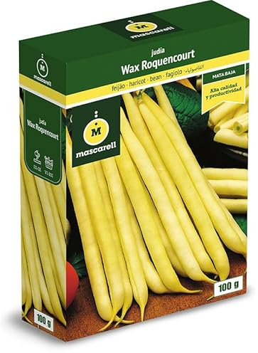 Mascarell Semillas, JUDÍA WAX ROQUENCOURT, Semillas Leguminosas, Fácil de Cultivar en Casa, 100 G.