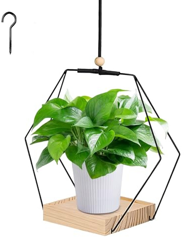 ACAREY Blumenampel Hängend Innen aus Metall, Blumentopf Hängend mit Deckenhaken und 80cm Seil, Hängetopf für Pflanzen, Hängeampel Pflanzen, Hängepflanzen Topf, Hängender Blumentopf (C)