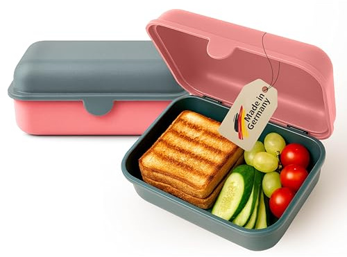 MEBY Set med 2 matlådor – matlåda för barn och vuxna – BPA-fri, diskmaskinssäker, mikrovågsugnssäker – robust snacklåda/frukostlåda med utbytbart lock (gammalrosa och grå)