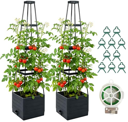 2 Pack Raised Garden Bed Planter Box with Trellis, 57'' Self Watering Tomato Planters for Climbing Plants, Tomato Cage Trellis for Vegetables & Vine Flowers Indoor Outdoor Patio